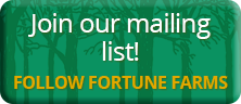 Join the Fortune Farms mailing list